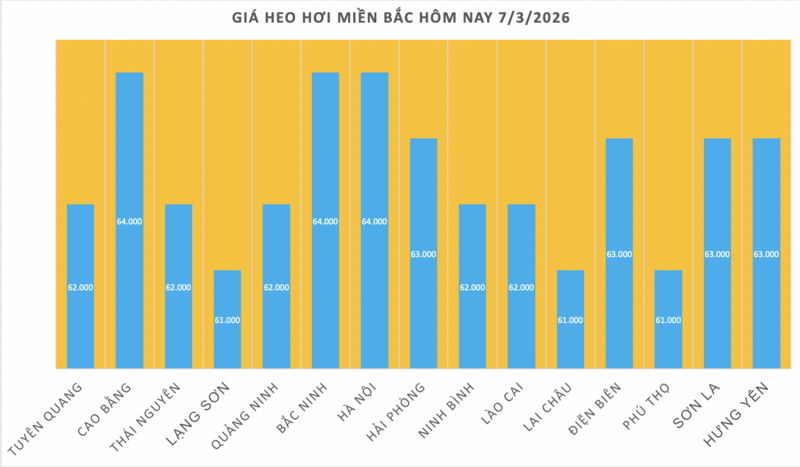 Giá heo hơi hôm nay 7/3/2026: Tiếp tục giảm rải rác - 1