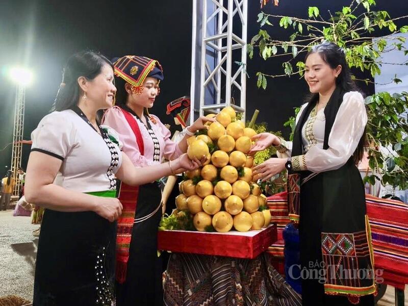 Vú sữa Hoàng Kim -  nông sản nổi tiếng tại Mường Ảng được quảng bá tại chuỗi sự kiện Lễ hội Hoa Ban năm 2026.