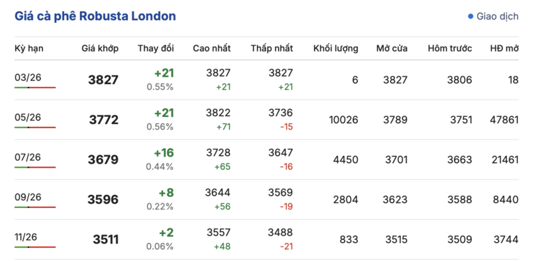 Giá cà phê hôm nay 8/3/2026: Tăng nhẹ - 2