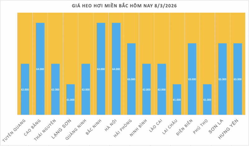 Giá heo hơi hôm nay 8/3/2026: Đi ngang - 1