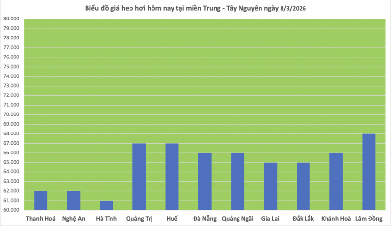Giá heo hơi hôm nay 8/3/2026: Đi ngang - 2