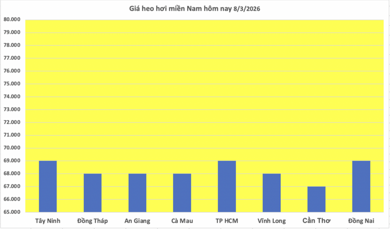 Giá heo hơi hôm nay 8/3/2026: Đi ngang - 3