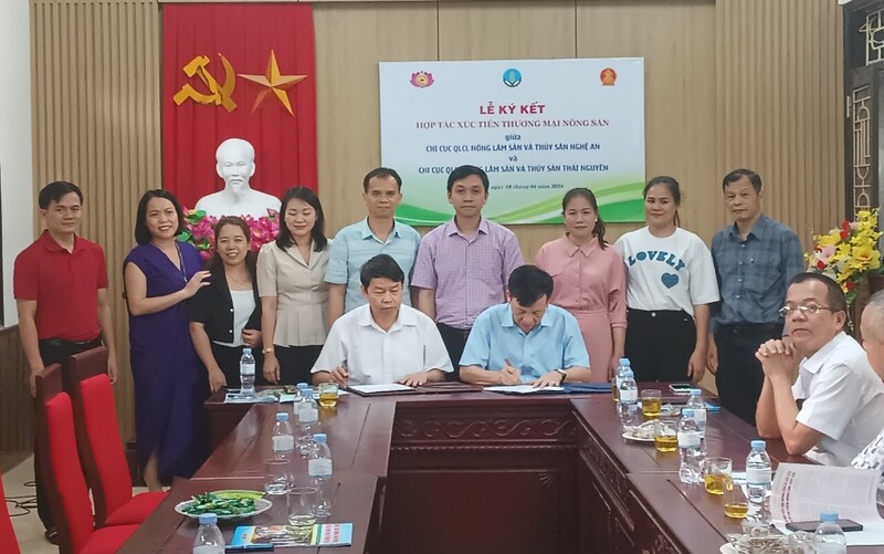 Hợp tác xúc tiến thương mại nông sản giữa Nghệ An và Thái Nguyên. Ảnh: Mai Liễu