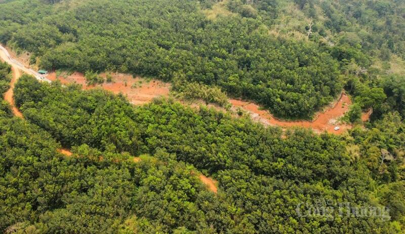 Khu vực thực hiện Thủy điện Đắk Glun 2 và Thủy điện Đắk Glun 3 có nhiều diện tích nằm trong quy hoạch 3 loại rừng. Ảnh: Minh An