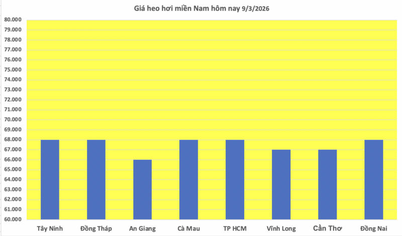 Giá heo hơi hôm nay 9/3/2026: Đang trên đà giảm - 3