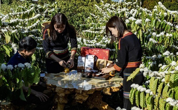 Công ty VAITEA của Áo đã có chuyến khảo sát vùng nguyên liệu cà phê tại Công ty Vương Thành Công, Đắk Lắk.