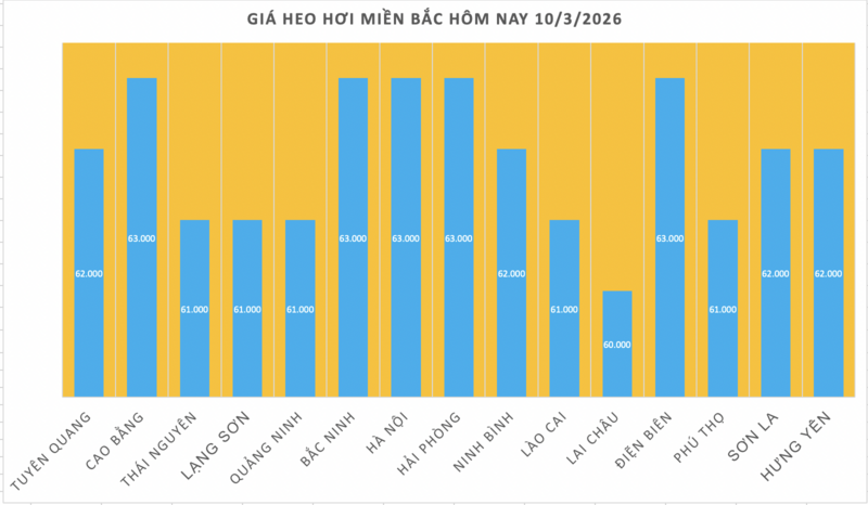 Giá heo hơi hôm nay 10/3/2026: Giảm đồng loạt tại miền Trung - 1