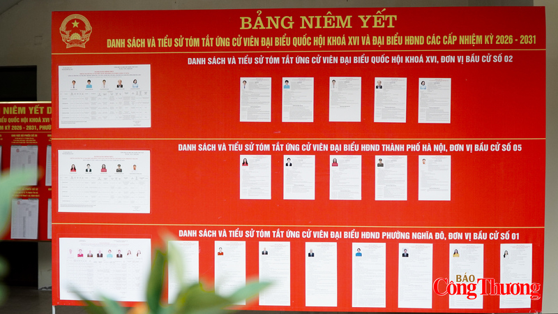 Ngày 15/3 tới đây, cử tri cả nước đi bầu cử đại biểu Quốc hội khóa XVI và đại biểu HĐND các cấp nhiệm kỳ 2026 - 2031.