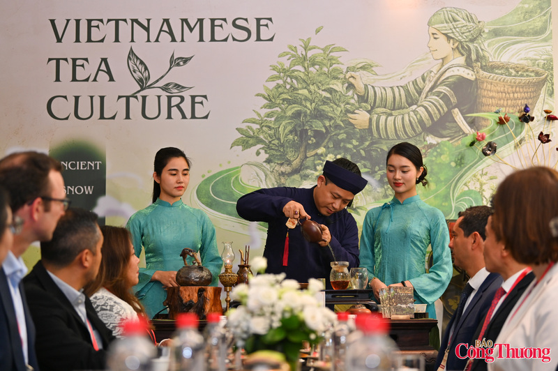 Không chỉ là một thức uống, trà còn là cầu nối giao lưu văn hóa, góp phần quảng bá hình ảnh đất nước và con người Việt Nam tới bạn bè quốc tế.
