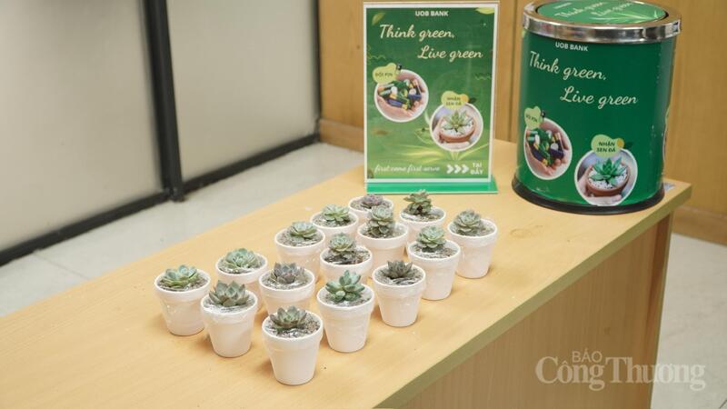 Chương trình đổi pin lấy cây xanh. Ảnh: Minh Trang