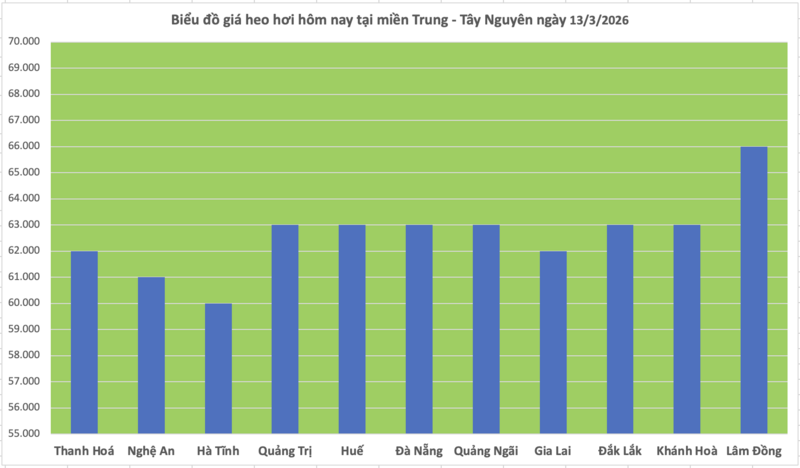 Giá heo hơi hôm nay 13/3/2026: Biến động trái chiều - 2