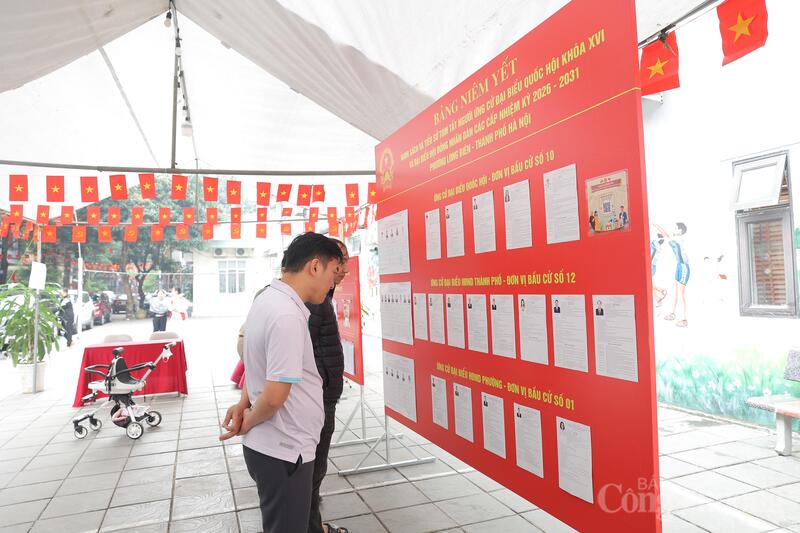 Cử tri xem thông tin về người ứng cử đại biểu Quốc hội khóa XVI và đại biểu Hội đồng nhân dân các cấp nhiệm kỳ 2026 - 2031 phường Long Biên.