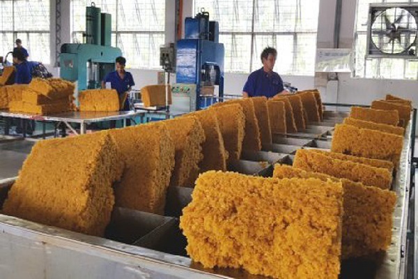 Hoạt động xuất khẩu cao su của Việt Nam đã chậm lại trong tháng 2/2026. Ảnh minh họa