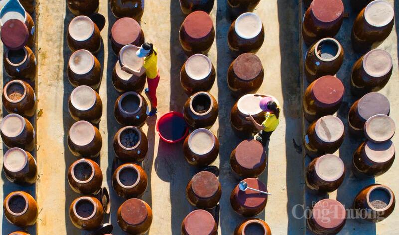 Minh bạch để phát triển, rõ ràng để vươn xa – đó chính là con đường tất yếu để đặc sản Hà Tĩnh khẳng định vị thế trên thương trường. Ảnh: HTX Chiến Thắng