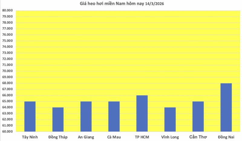Giá heo hơi hôm nay 14/3/2026: Tiếp tục biến động trái chiều - 3