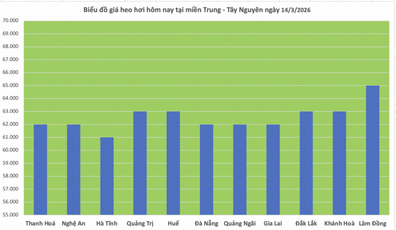 Giá heo hơi hôm nay 14/3/2026: Tiếp tục biến động trái chiều - 2