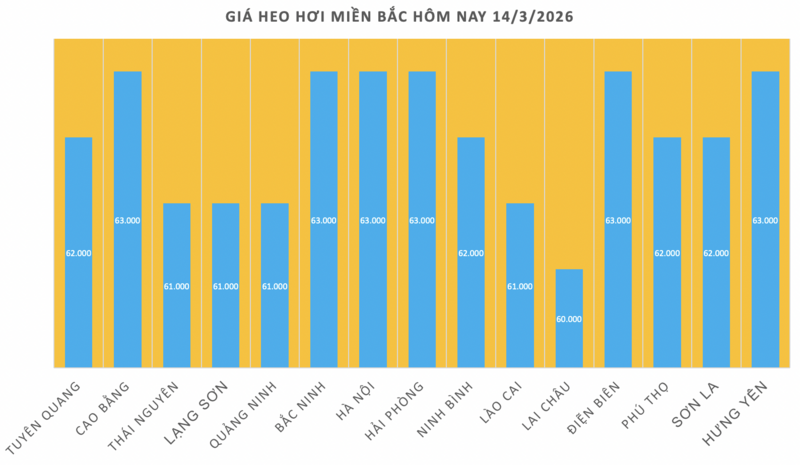 Giá heo hơi hôm nay 14/3/2026: Tiếp tục biến động trái chiều - 1