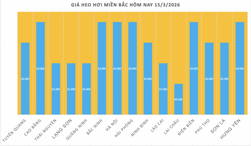 Giá heo hơi hôm nay 15/3: Đi ngang trên cả 3 miền - 1