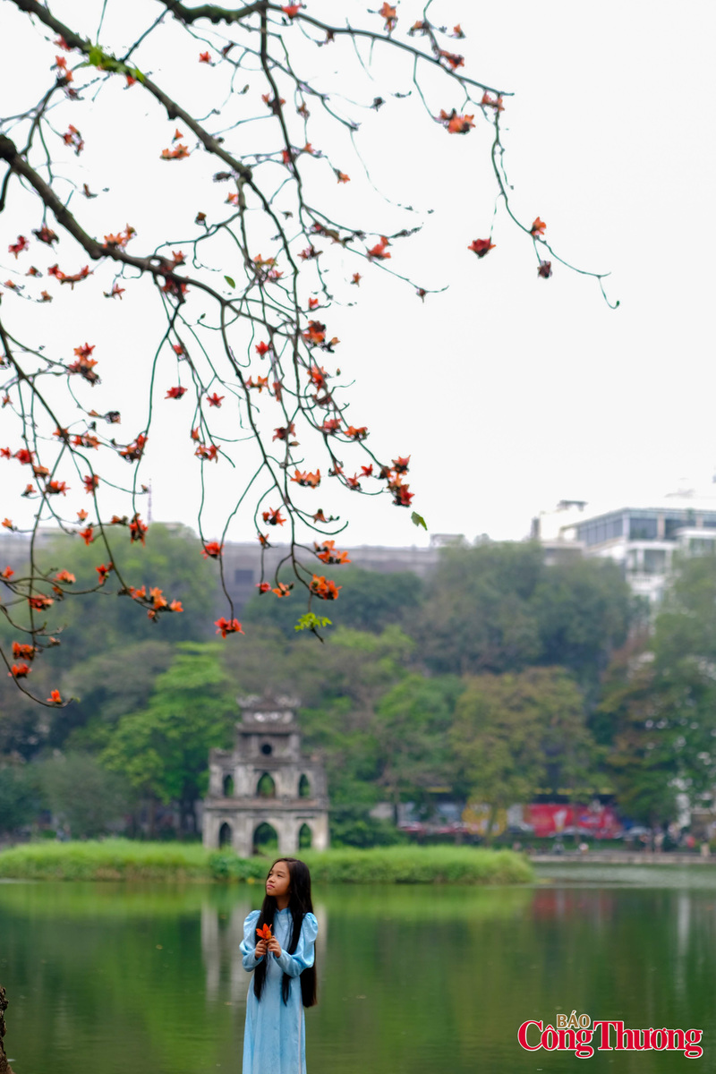 Với người dân Thủ đô, việc chụp ảnh, check-in hoa gạo không đơn thuần là một xu hướng, mà đó là tình yêu dành cho thiên nhiên và cái đẹp. Tất cả đều tìm thấy bình yên cho riêng mình dưới những tán hoa gạo đỏ thắm giữa lòng thành phố.