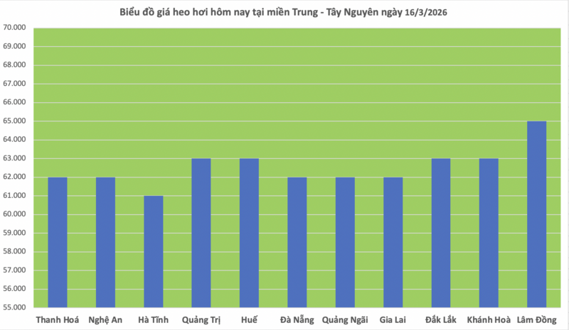 Giá heo hơi hôm nay 16/3/2026: Cao nhất đạt mốc 66.000 đồng/kg - 2