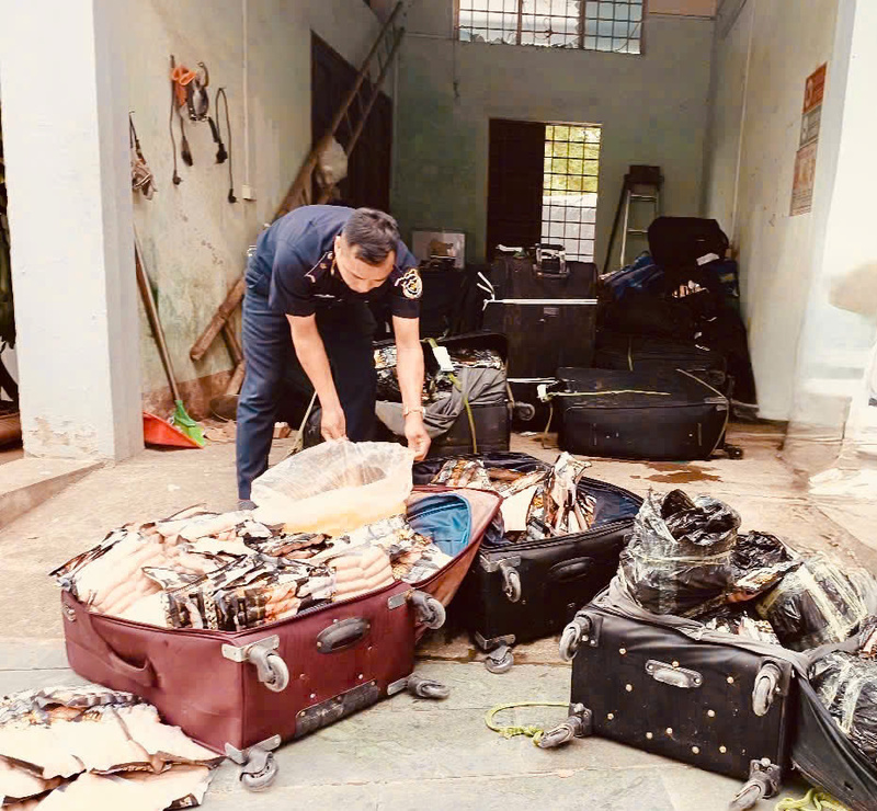 Lực lượng Hải quan liên tiếp phát hiện, bắt giữ hơn 1,8 tấn thực phẩm vi phạm tại một số cửa khẩu phía Bắc. Ảnh: HQ