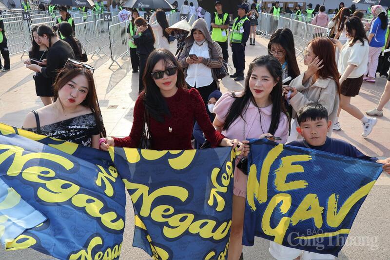 Các fan của Negav háo hức chờ đón màn trình diễn thần tượng trong đêm nhạc.