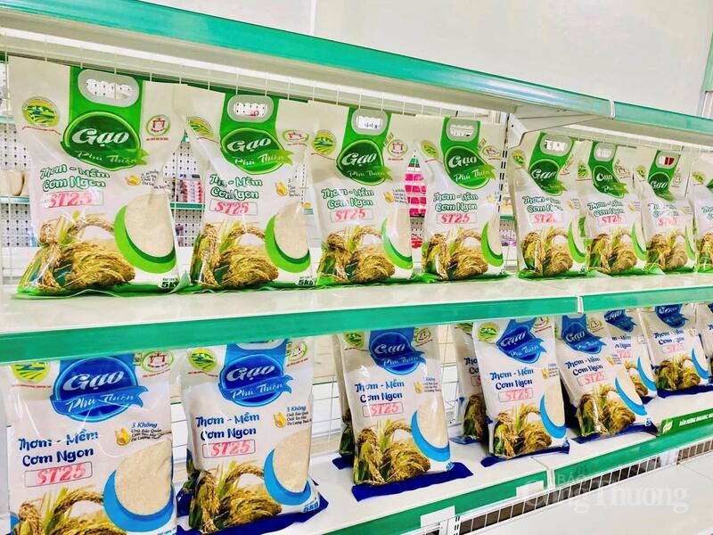 Nhiều hợp tác xã tại Gia Lai đã chủ động đầu tư vào khâu chế biến, đóng gói và xây dựng thương hiệu để nâng giá trị hạt gạo.