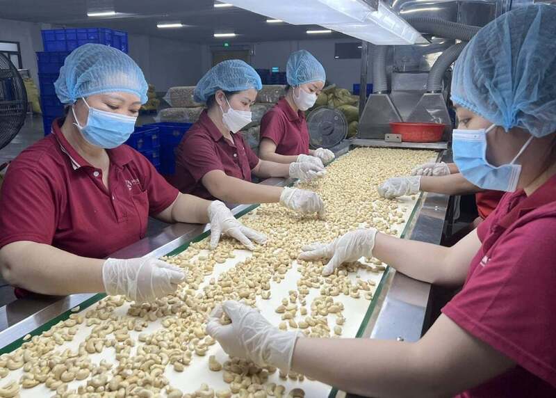 Xuất khẩu từ Việt Nam sang EU cũng khá tích cực. Ảnh minh họa