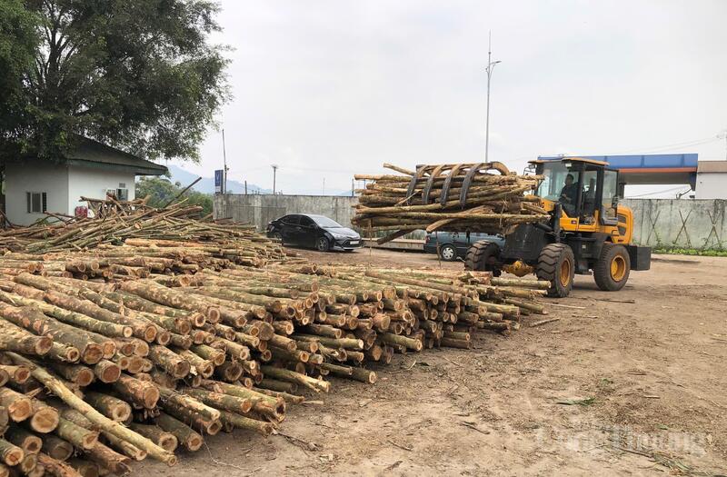 Trong chế biến giấy, loại bỏ vỏ cây là một trong các khâu quan trọng