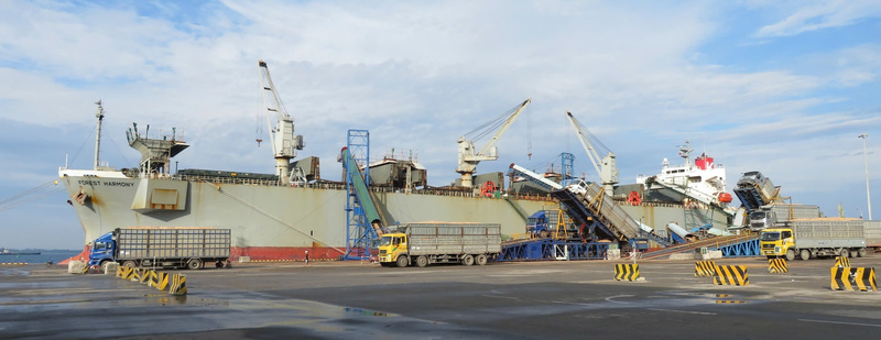 Tổng thu xuất nhập khẩu qua cảng Dung Quất giai đoạn 2010 - 2025 đạt khoảng 85,7 nghìn tỷ đồng, riêng năm 2025 ước khoảng 12,7 nghìn tỷ đồng. Ảnh: Nguyễn Dương