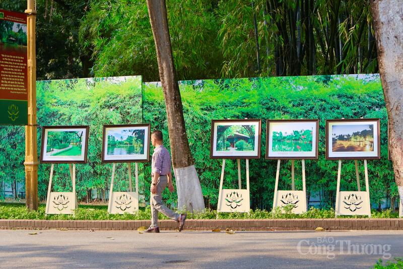 Thời tiết nắng nhẹ, thuận lợi cho tham quan triển lãm ngoài trời. Ảnh: Phương Hà
