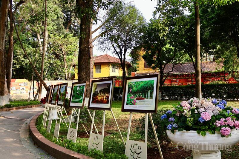 Ấn tượng 'khoảnh khắc đẹp trong Khu Di tích Chủ tịch Hồ Chí Minh'  - 8