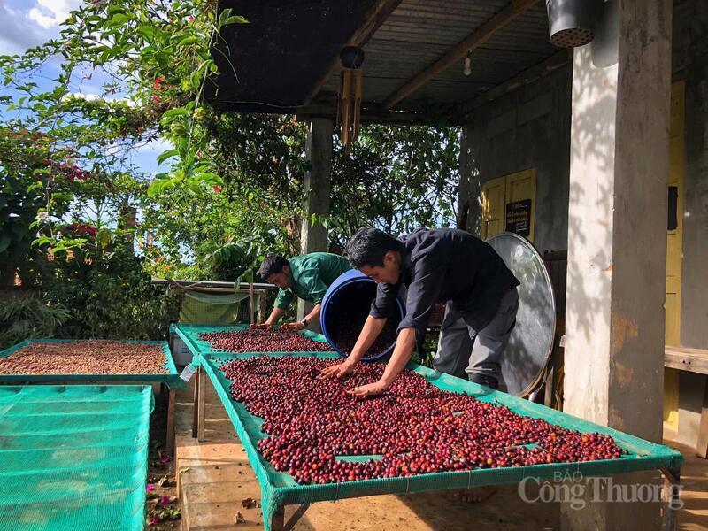 Việc dự trữ nguyên liệu và đảm bảo quy trình sơ chế nghiêm ngặt giúp doanh nghiệp duy trì nhịp sản xuất ngay cả khi thị trường gặp khó khăn. Ảnh: Hiền Mai