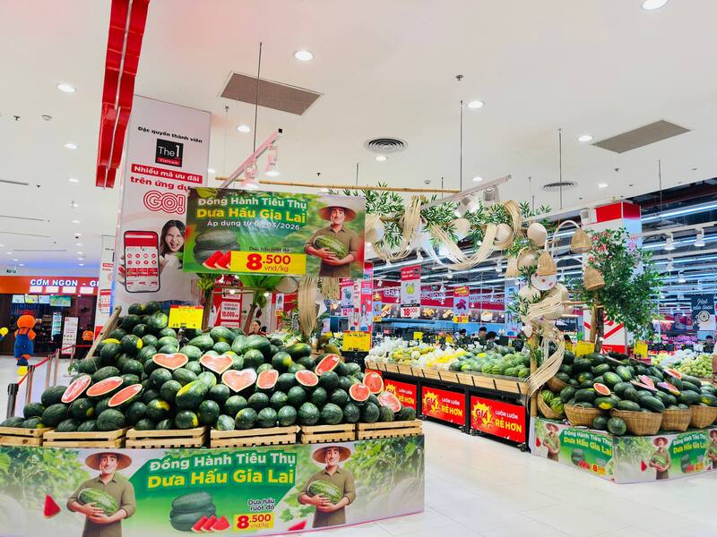 Dưa hấu Gia Lai đang được bày bán tại hệ thống siêu thị GO!.