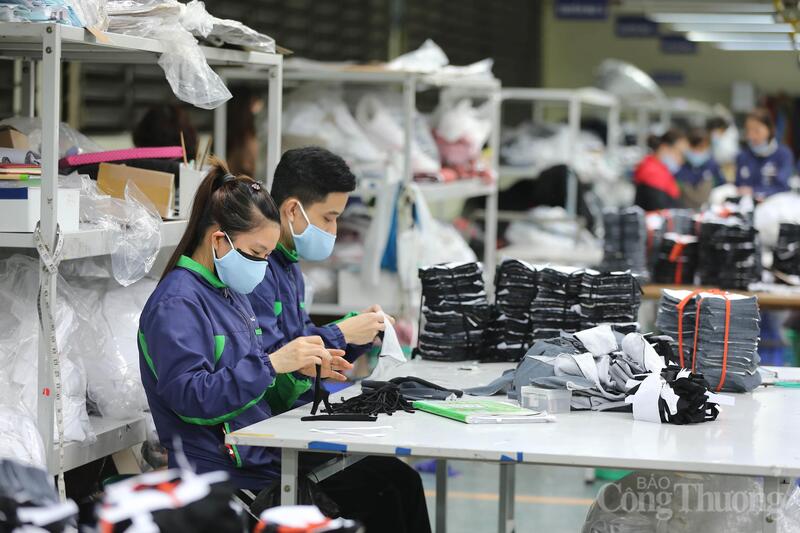 Hai tháng đầu năm 2026 xuất khẩu của Việt Nam sang các nước Bắc Âu tăng trưởng trên 20%. Ảnh minh họa: Nguyễn Nam