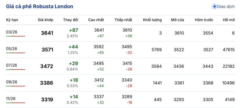 Giá cà phê hôm nay 19/3/2026: Tăng mạnh 1.300 - 1.500 đồng/kg - 1