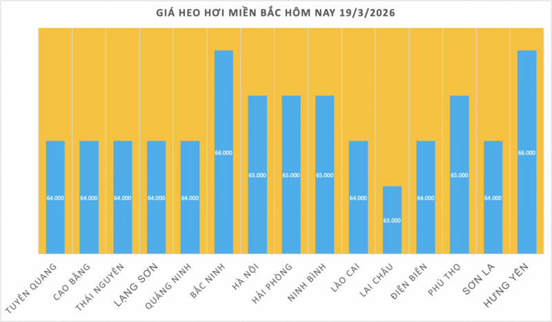 Giá heo hơi hôm nay 19/3/2026: Tăng đồng loạt từ 1.000 - 2.000 đồng/kg - 1