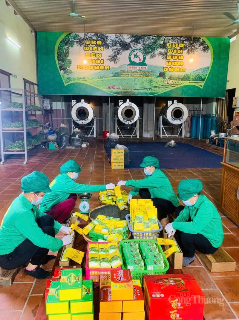 Thành viên Hợp tác xã Trà và Du lịch cộng đồng Tiến Yên đang hoàn thiện đóng gói sản phẩm chè của hợp tác xã, chuẩn bị đưa ra thị trường.