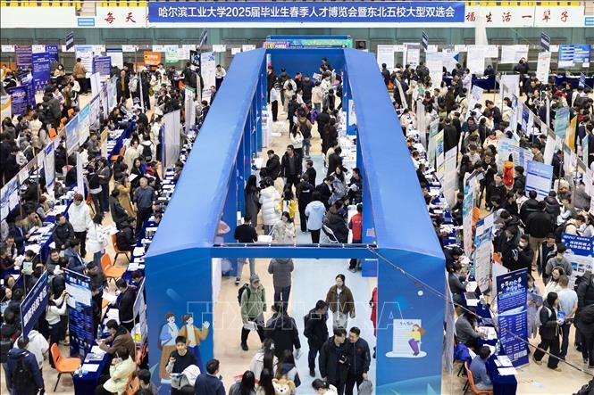 Người dân tham gia hội chợ việc làm tại tỉnh Hắc Long Giang, Trung Quốc. Ảnh: TTXVN