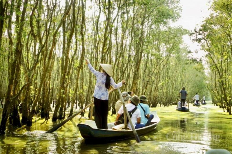 Rừng tràm Trà Sư là một trong các địa điểm du lịch nổi tiếng tại tỉnh An Giang.
