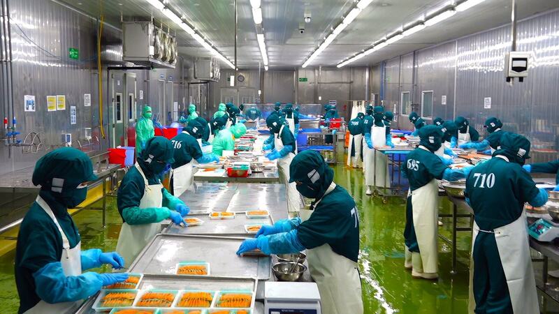 Tôm đông lạnh, cá fille trắng, mực... những sản phẩm tiềm năng có thể xuất khẩu sang Italia trong thời gian tới. Ảnh: Đức Hòa