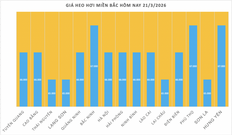 Giá heo hơi hôm nay 21/3/2026: Tăng rải rác nhiều nơi - 1