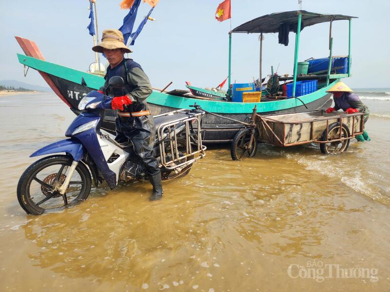 Sứa tươi được thương lái thu mua ngay tại chân sóng. Không khí mua bán diễn ra khẩn trương.