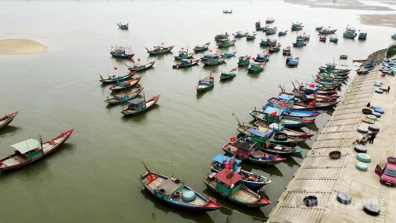 Theo ghi nhận của phóng viên Báo Công Thương, những ngày này, tại vùng biển các xã Thạch Kim, Đồng Tiến, Kỳ Ninh, tỉnh Hà Tĩnh rộn ràng tiếng máy nổ, từng đoàn thuyền nối đuôi nhau ra khơi đánh bắt sứa biển.