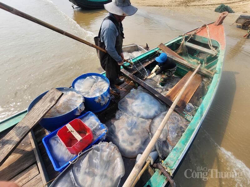 Mỗi chuyến biển như thế thường chỉ kéo dài 3-5 tiếng đồng hồ.