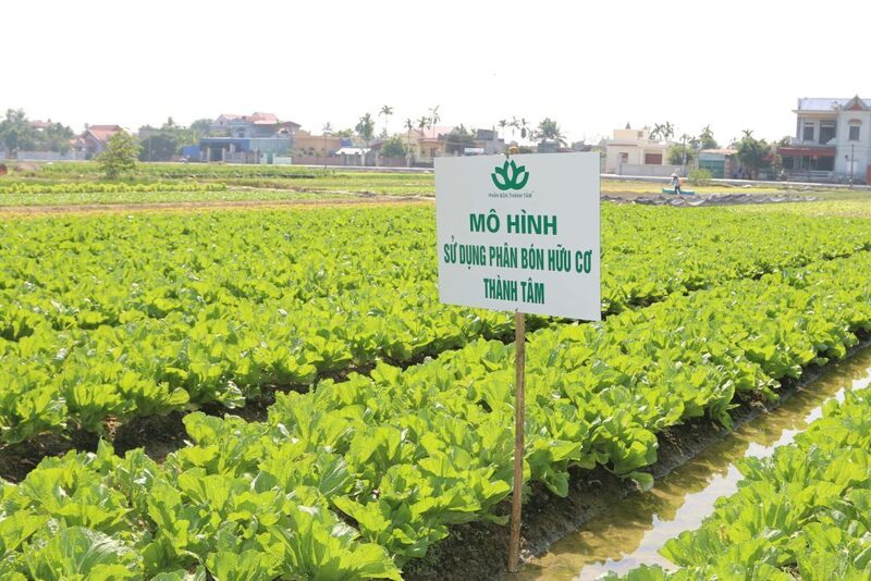 Công ty Phân bón Thành Tâm sử dụng nhà máy sản xuất tại khu vực Bến Cát cũ, cùng nhiều bất động sản khác tại Phú Nhuận và Long Bình làm tài sản bảo đảm. Ảnh minh họa.