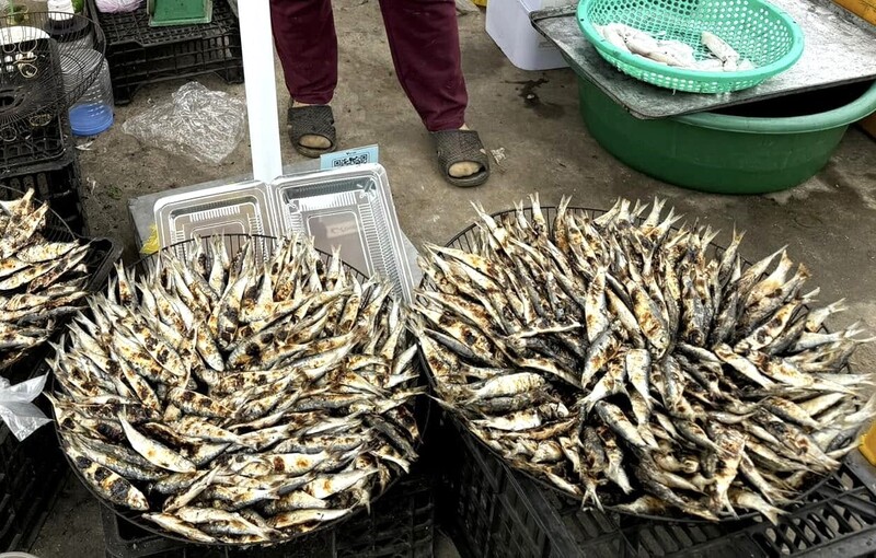 Điểm đặc biệt của cá trích nướng chính là độ tươi. Cá được ngư dân đánh bắt gần bờ từ sáng sớm, mang vào bờ là nướng ngay, không qua cấp đông. Nhờ đó, thịt cá giữ được vị ngọt, béo, thơm đặc trưng mà ít loại cá nào có được.