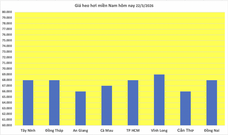 Giá heo hơi hôm nay 22/3/2026: Đi ngang - 3