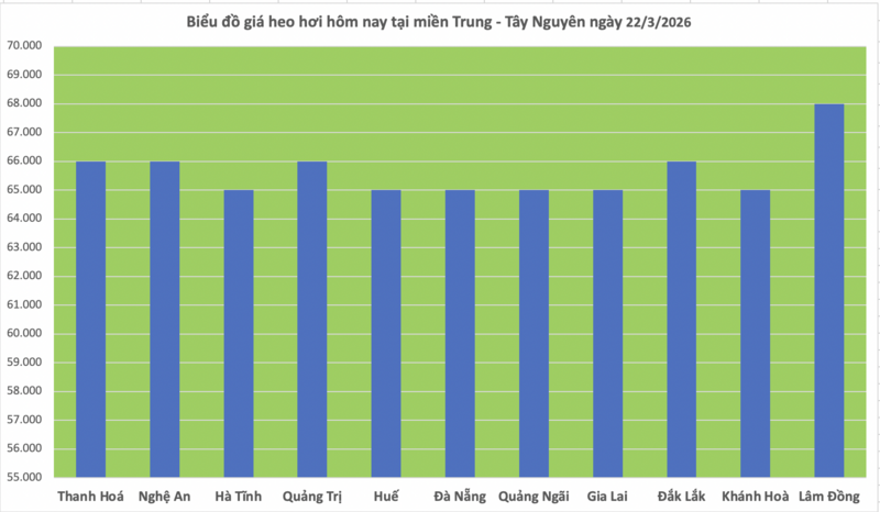 Giá heo hơi hôm nay 22/3/2026: Đi ngang - 2