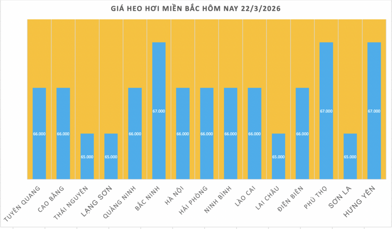 Giá heo hơi hôm nay 22/3/2026: Đi ngang - 1